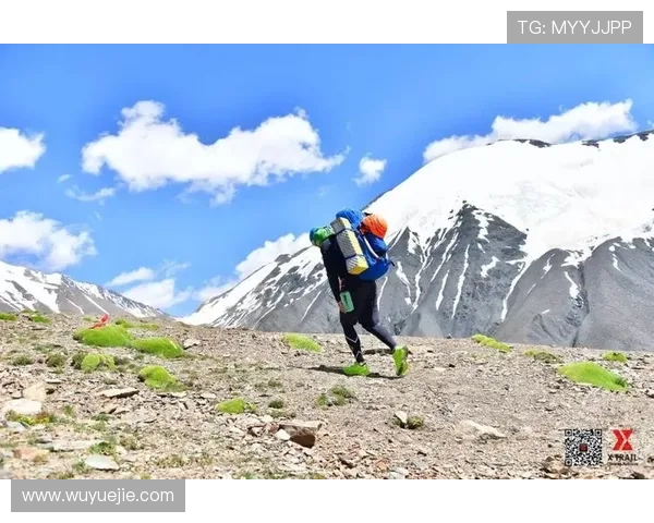 探索开运体育登录入口让你的投注更加顺畅便捷