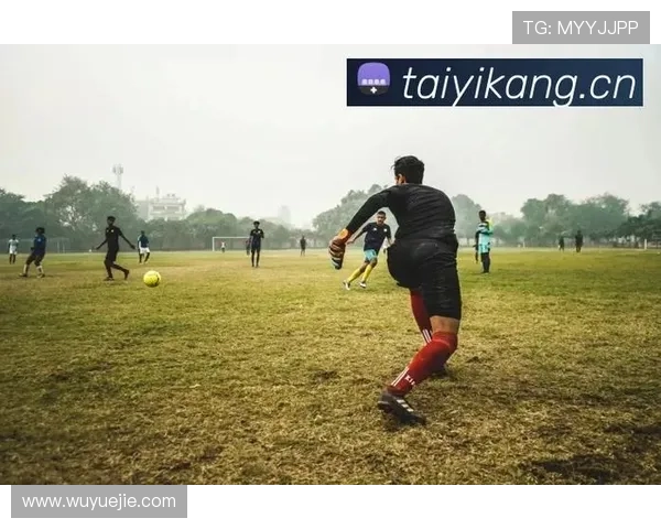 深度分析开云官方体育app在体育娱乐领域的影响力与发展潜力